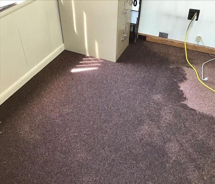 water soaked into the brownish colored carpet in an office