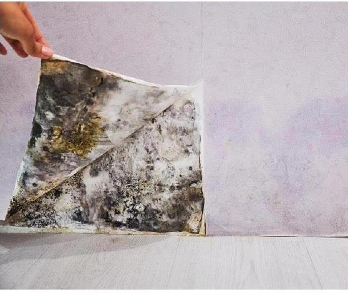 Hand pulling wallpaper back revealing mold